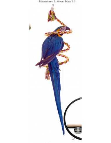 SUN PARROTS ESPIRAL ALGODON MEDIUM