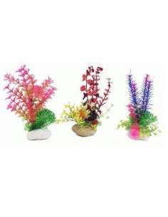 PLANTA ROCK 20 cm.