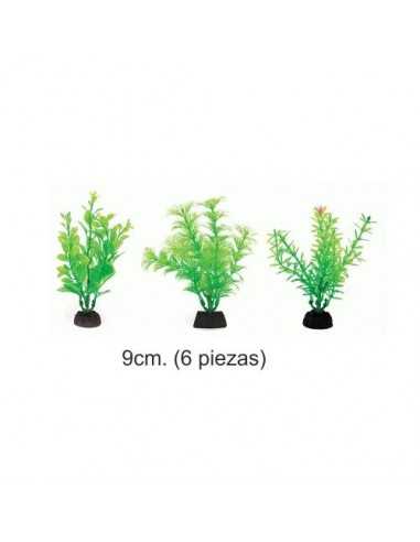 PLANTA AQUA GREEN 9cm. 6 piezas