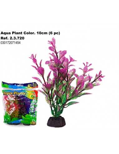 PLANTA AQUA COLOR 10cm. 6 piezas