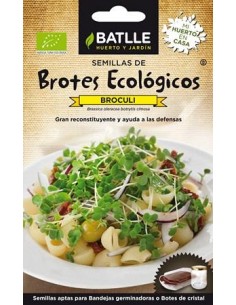 BROTES ECOLOGICOS DE BROCULI