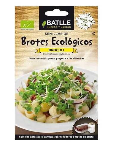 BROTES ECOLOGICOS DE BROCULI