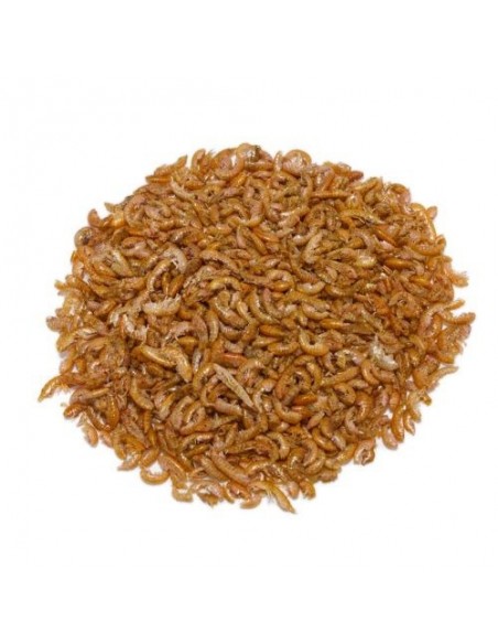 GAMMARUS PRODAC 90 Gramos + CALCIO