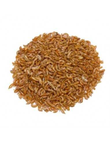 GAMMARUS PRODAC 30 Gramos. Bandeja