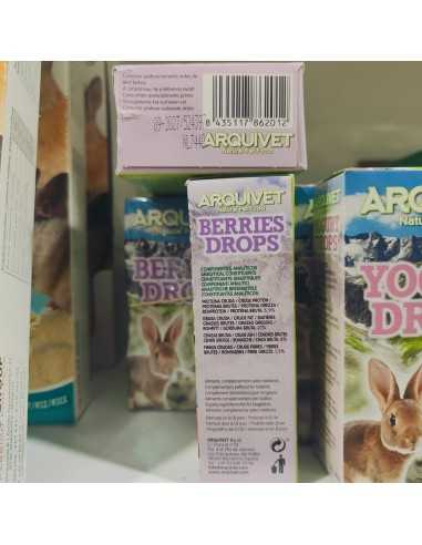 DROPS FRUTAS DEL BOSQUE 65 GR. Roedores