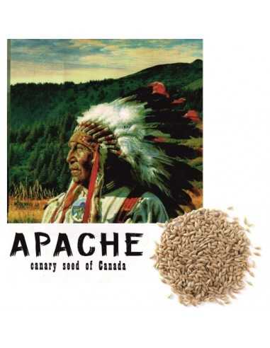 ALPISTE CANADA APACHE 1 KG.