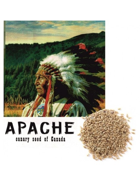 ALPISTE CANADA APACHE 1 KG. ALPISTE CANADA APACHE 1 KG.