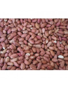 CACAHUETES PELADOS 500GR. PRODAC