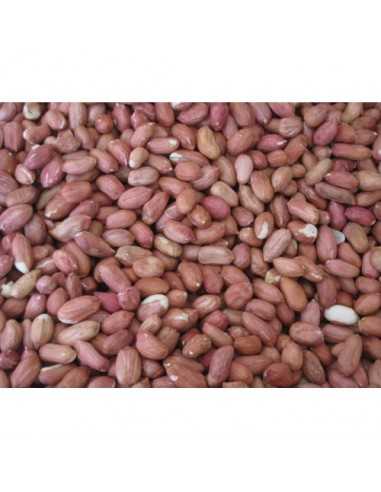 CACAHUETES PELADOS 500GR. PRODAC