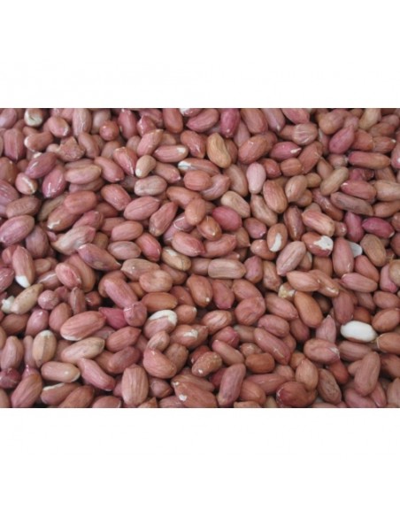CACAHUETES PELADOS 500GR. PRODAC
