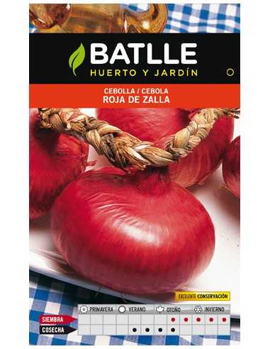CEBOLLA ROJA DE ZALLA SOBRE
