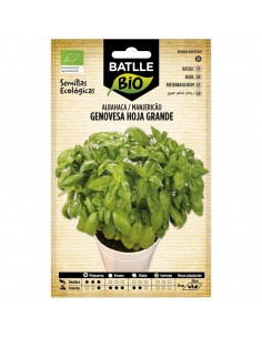 ALBAHACA GENOVESA HOJA GRANDE.ECO