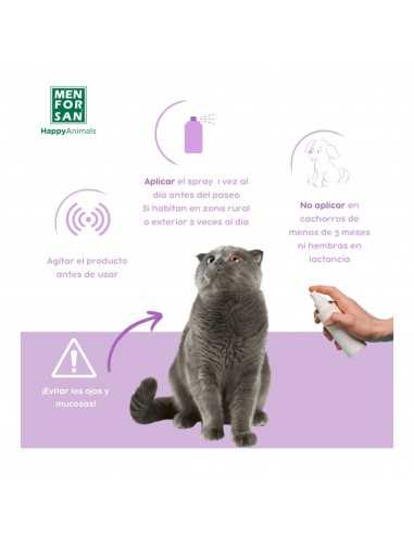 MENFORSAN SPRAY ANTI INSECTOS 250 ML.GATOS