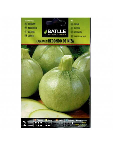 CALABACIN REDONDO DE NIZA SOBRE
