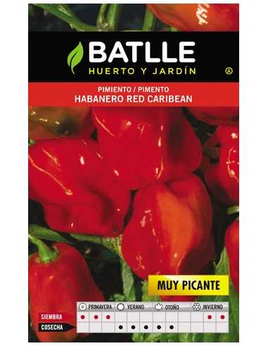 PIMIENTO PICANTE HABANERO RED CARIBBEAN
