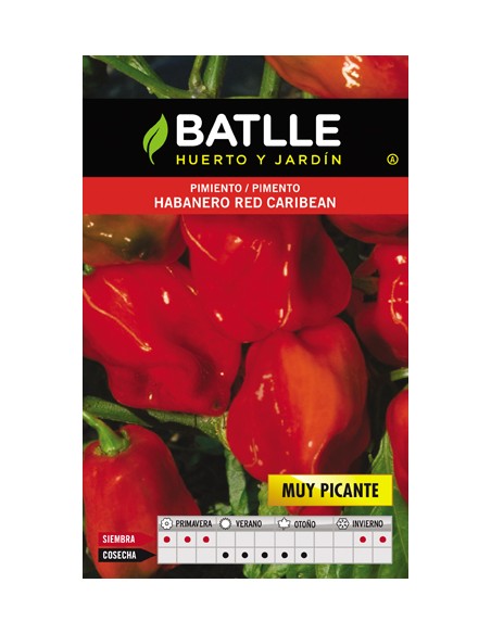 PIMIENTO PICANTE HABANERO RED CARIBBEAN