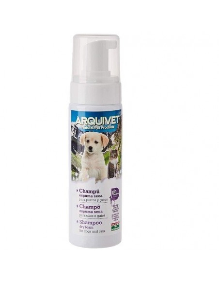 CHAMPU ESPUMA SECA 200ml.Arquifresh