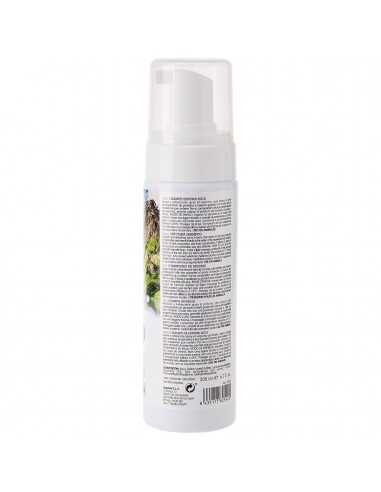 CHAMPU ESPUMA SECA 200ml.Arquifresh