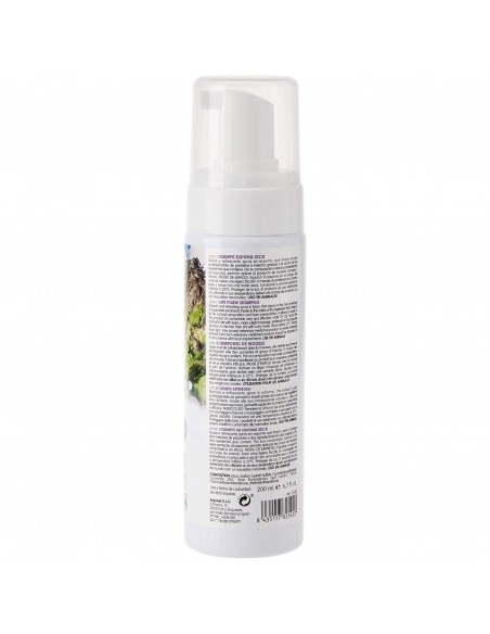 CHAMPU ESPUMA SECA 200ml.Arquifresh CHAMPU ESPUMA SECA 200ml.Arquifresh