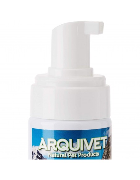 CHAMPU ESPUMA SECA 200ml.Arquifresh CHAMPU ESPUMA SECA 200ml.Arquifresh