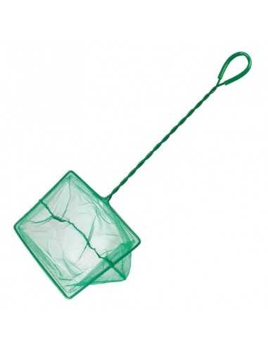 SALABRE VERDE 15 x 12.5 cm.