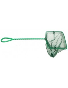 SALABRE VERDE 20 x 15 cm.