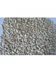 PIPAS PELADAS 500 GRAMOS. TARRINA PRODAC