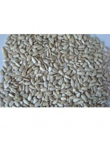 PIPAS PELADAS 500 GRAMOS. TARRINA PRODAC