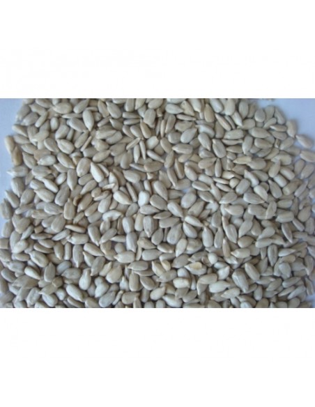PIPAS PELADAS 500 GRAMOS. TARRINA PRODAC