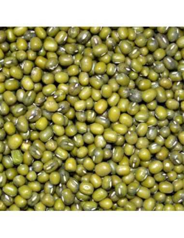 SOJA VERDE 700 GRAMOS. TARRINA