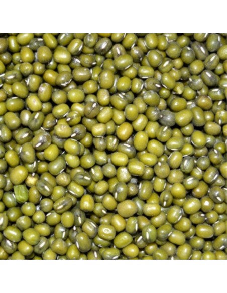 SOJA VERDE 700 GRAMOS. TARRINA