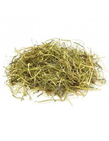 HENO ARQUIVET 1 KG.