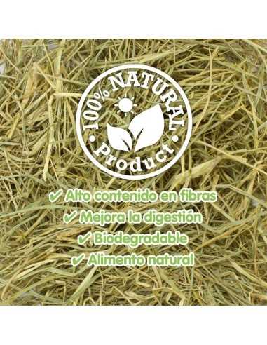 HENO ARQUIVET 1 KG.