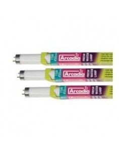 TUBO ARCADIA TROPICAL 36 W.