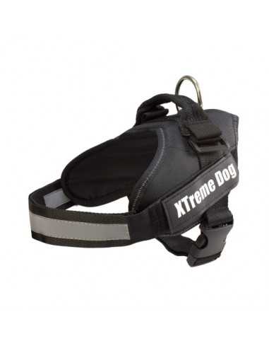 ARNES XTREME DOG AZUL XS (44-57cm)