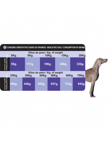 PROCT-DOG ADULT PLUS 4 KG