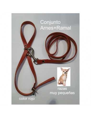 ARNES Y AMARRE RAZAS PEQUEÑAS. BEIG