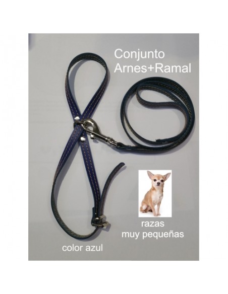 ARNES Y AMARRE RAZAS PEQUEÑAS. BEIG