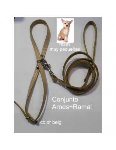 ARNES Y AMARRE RAZAS PEQUEÑAS. BEIG