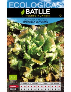 LECHUGA MARAVILLA DE VERANO- ECO