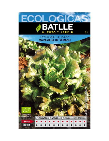 LECHUGA MARAVILLA DE VERANO- ECO