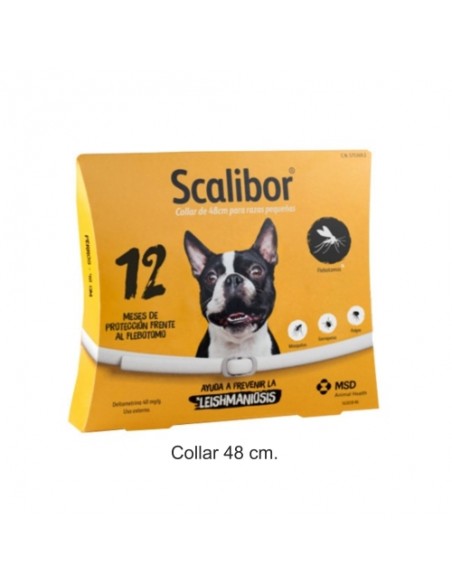COLLAR SCALIBOR 48 CM. 12 MESES