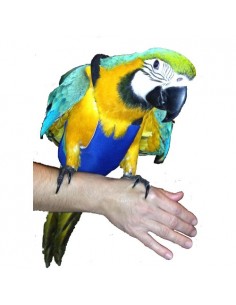 PAÑAL PARA GUACAMAYO