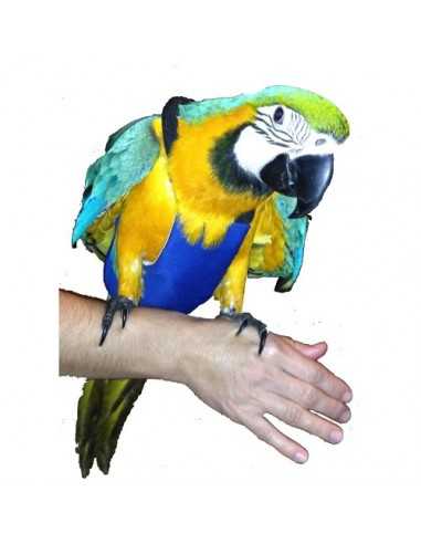 PAÑAL PARA GUACAMAYO
