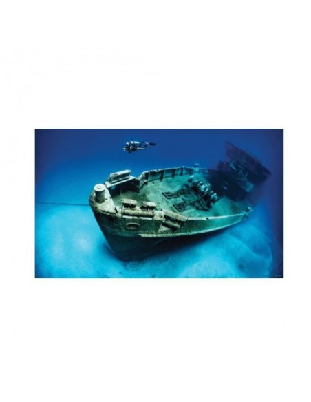 POSTER VINILO PECIO 61x40cm.