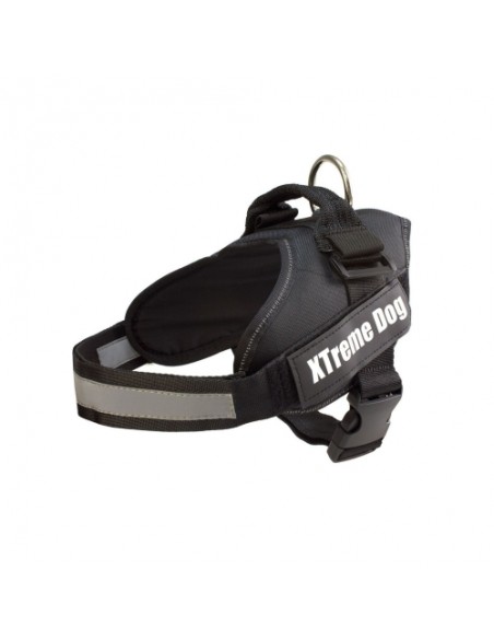 ARNES XTREME DOG ROJO M (61-81cm)