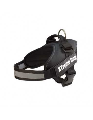 ARNES XTREME DOG ROJO L (70-95cm)