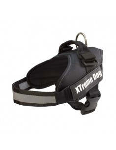 ARNES XTREME DOG AZUL S (50-64cm)