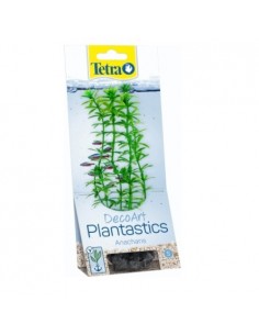 TETRA DECOART PLANTA S ANACHARI