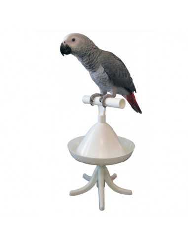 PERCHER PERCHA DE ENTRENAMIENTO PARA LORO